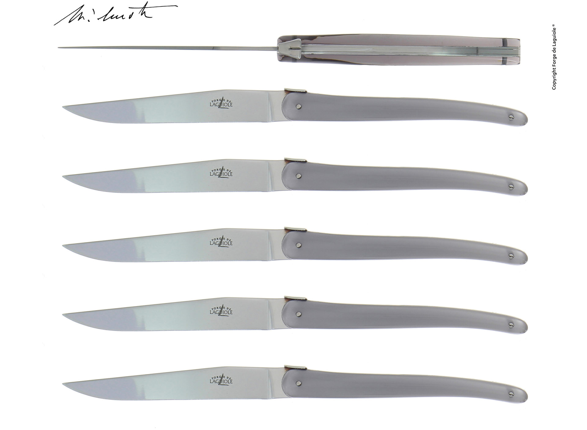 Fünf Laguiole Steakmesser aus Edelstahl mit polierter Klinge und elegantem Griff, nebeneinander angeordnet