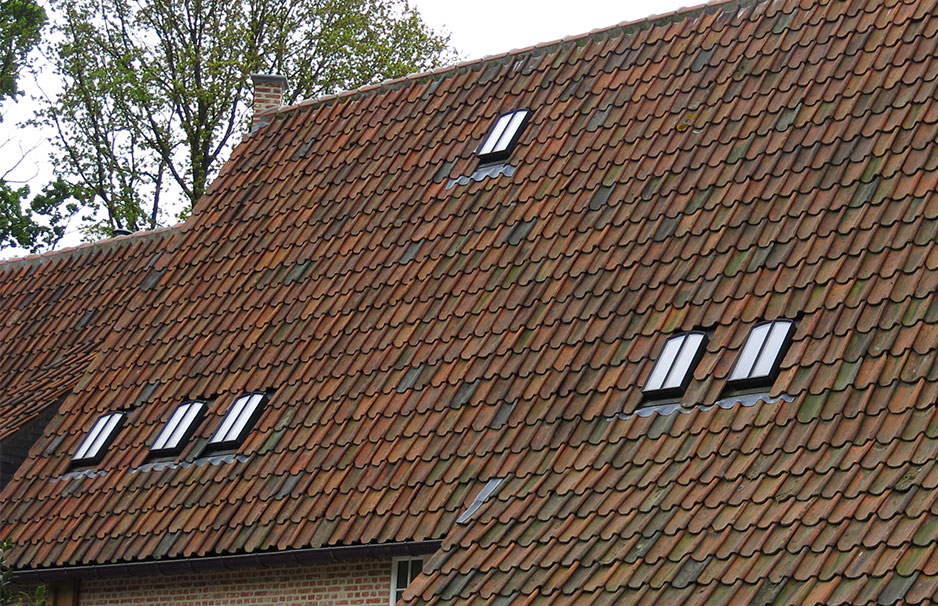 Ziegeldach eines Hauses mit mehrfach eingebauten Dachfenstern, im Hintergrund Bäume sichtbar