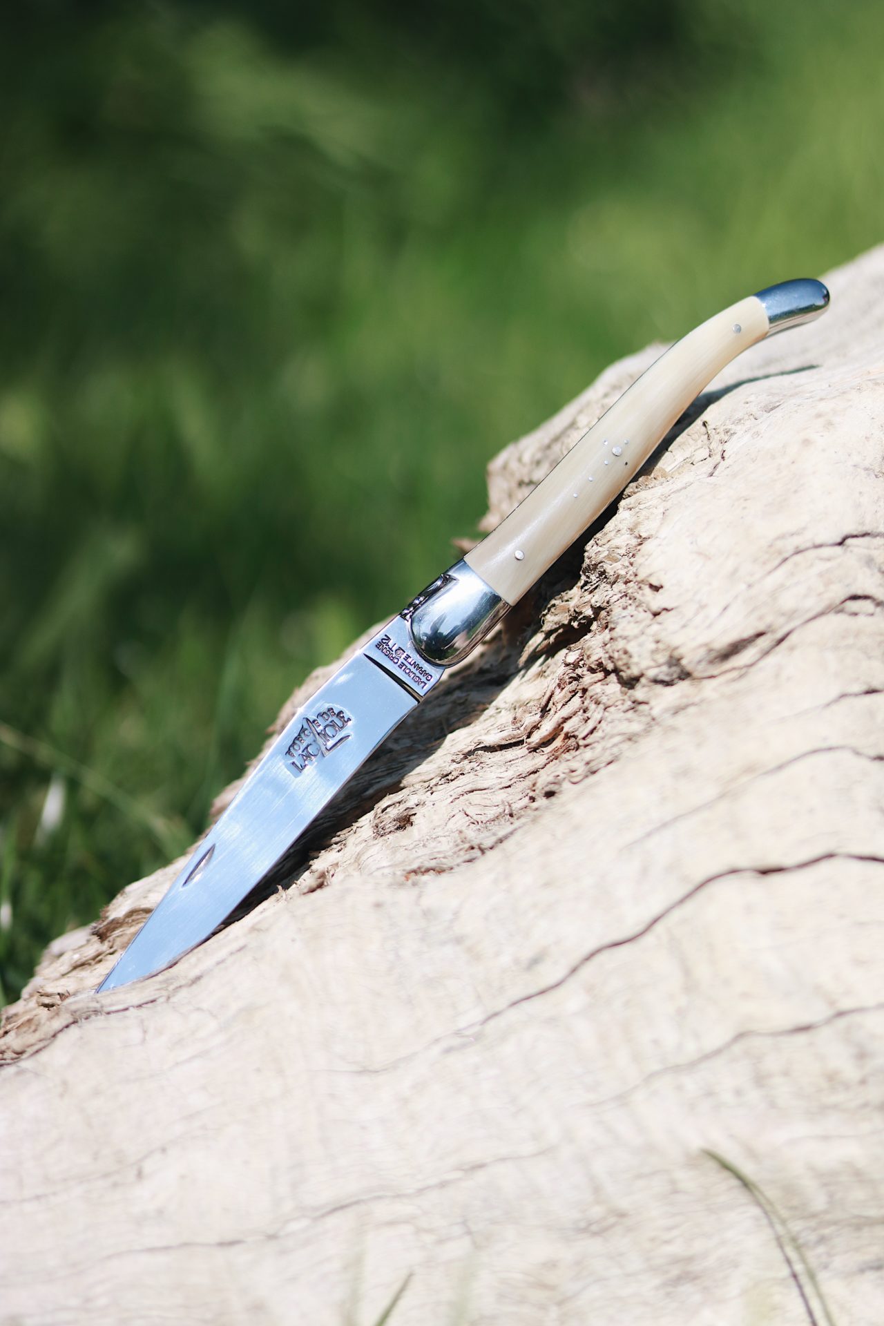 Laguiole Taschenmesser mit poliertem Horngriff, liegend auf einem Holzstamm, fotografiert bei Tageslicht draußen