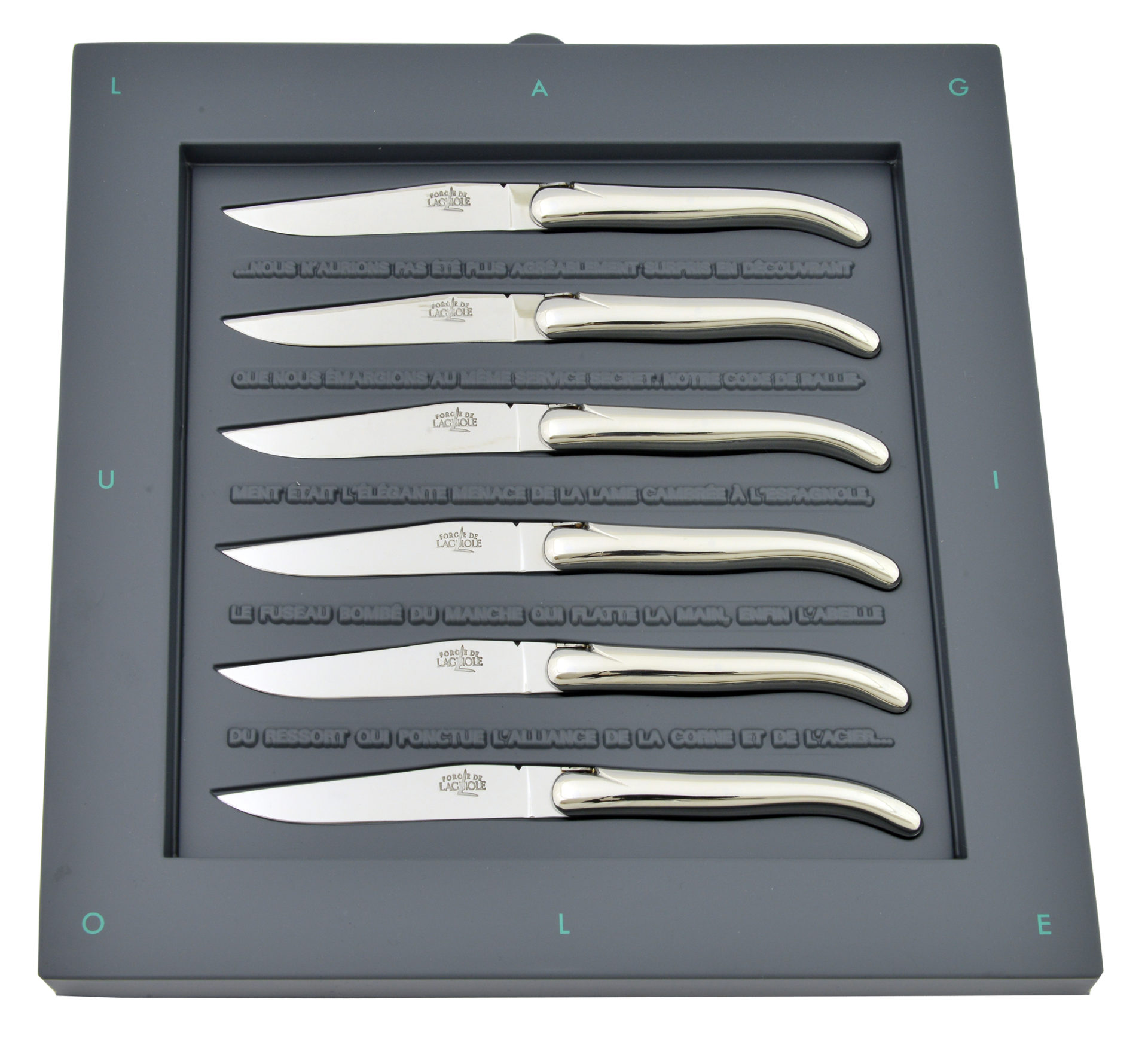 Sechsteiliges Laguiole Steakmesser-Set aus Edelstahl in eleganter Geschenkbox, ideal für stilvolles Essen