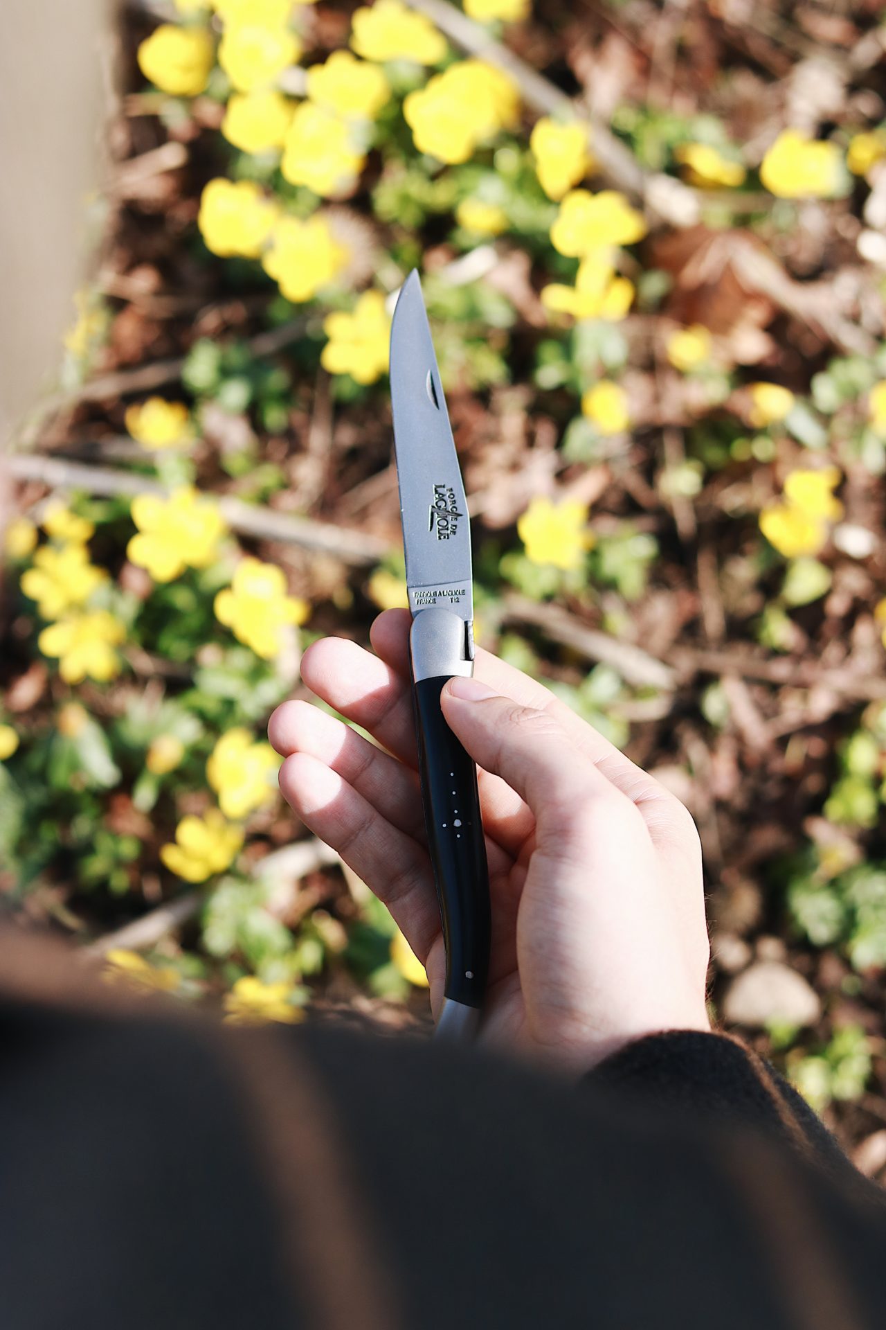Hand hält ein geöffnetes Laguiole Taschenmesser mit schwarzem Griff, unscharfer Hintergrund mit gelben Blumen