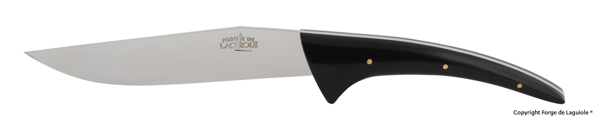 Hochwertiges Küchenmesser Forge de Laguiole mit glänzender Klinge und schwarzem Griff, seitliche Ansicht