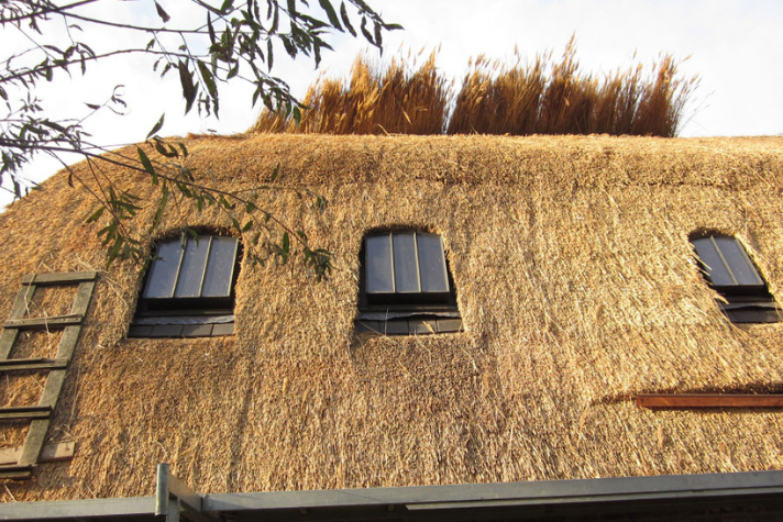 Traditionelles Gebäude mit Reetdach, drei rechteckigen Fenstern und einer Holzleiter an der Fassade